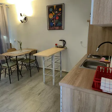 Ana 고르니 카린