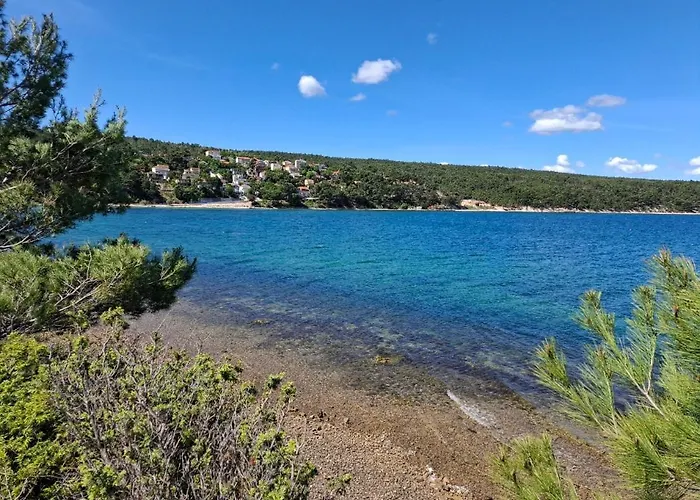 Ana 고르니 카린