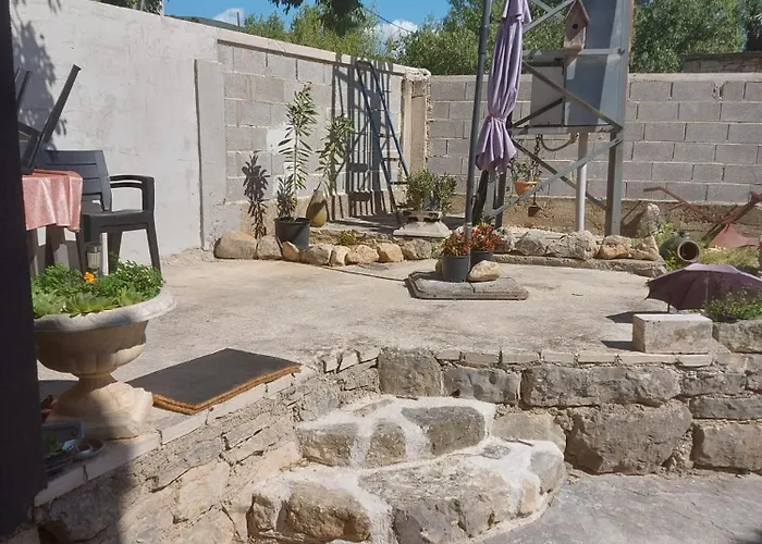 Ana * 고르니 카린