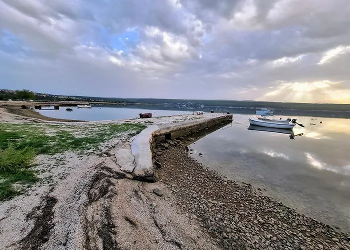 Ana * 고르니 카린