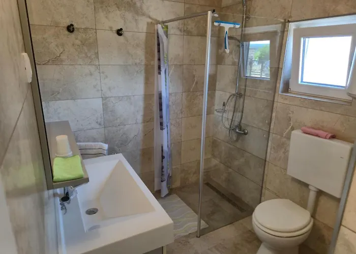 Ana 고르니 카린