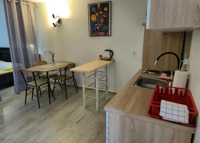 Ana 고르니 카린