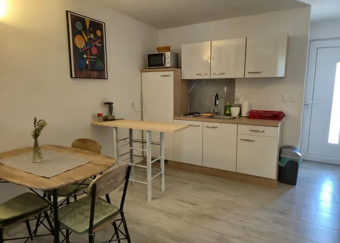 Ana 고르니 카린