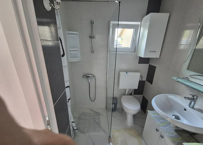 Ana * 고르니 카린